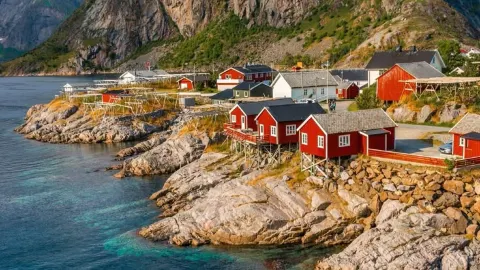 Framing the Arctic Magic: My Ultimate Lofoten Islands Best Shots Travel Story — traveler post in Leknes