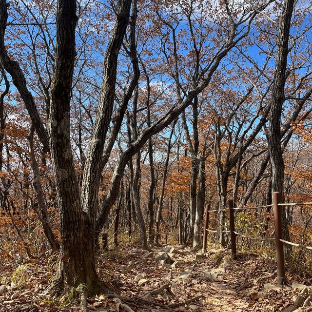 오대산 노인봉 등린이 최단코스⛰️