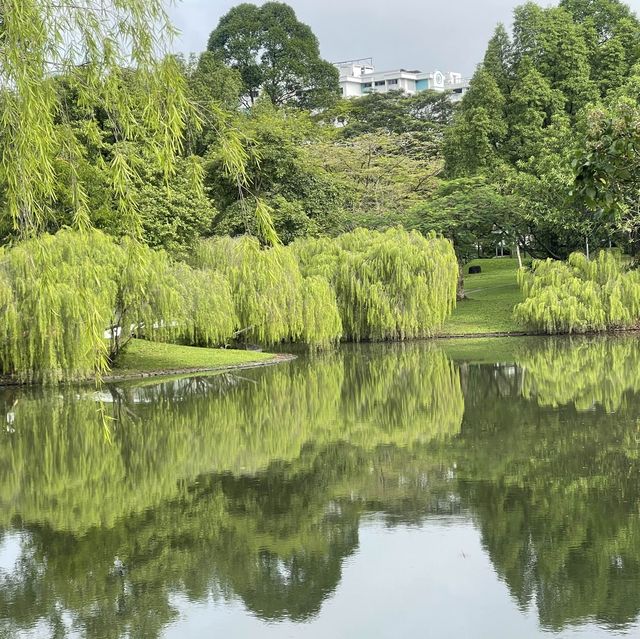 Bishan-AMK park