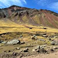 Thrilling Rainbow Mountain ATV Adventure: From Scenic Rides to Stunning Stripes