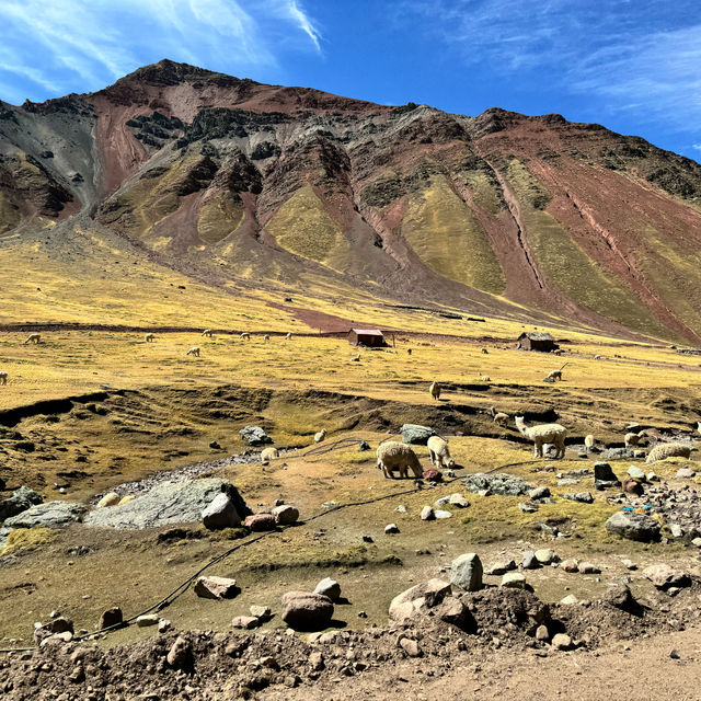 Thrilling Rainbow Mountain ATV Adventure: From Scenic Rides to Stunning Stripes