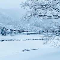 【岐阜県🇯🇵】一度は行ってみたい‼️冬の白川郷☺️