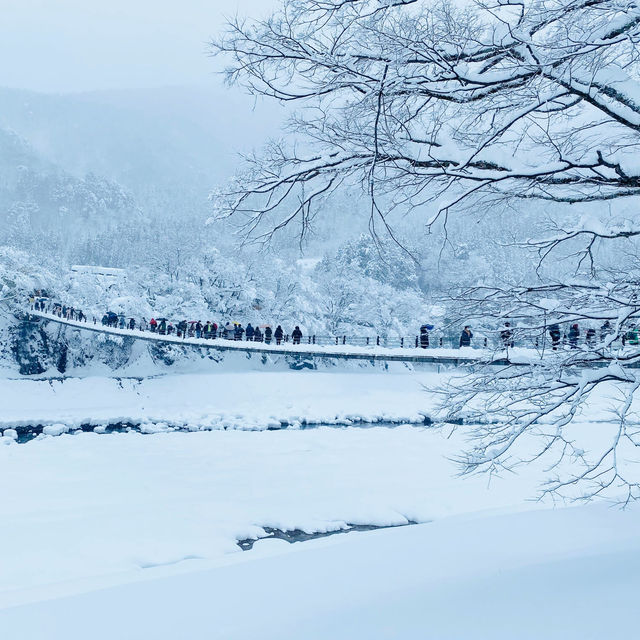 【岐阜県🇯🇵】一度は行ってみたい‼️冬の白川郷☺️