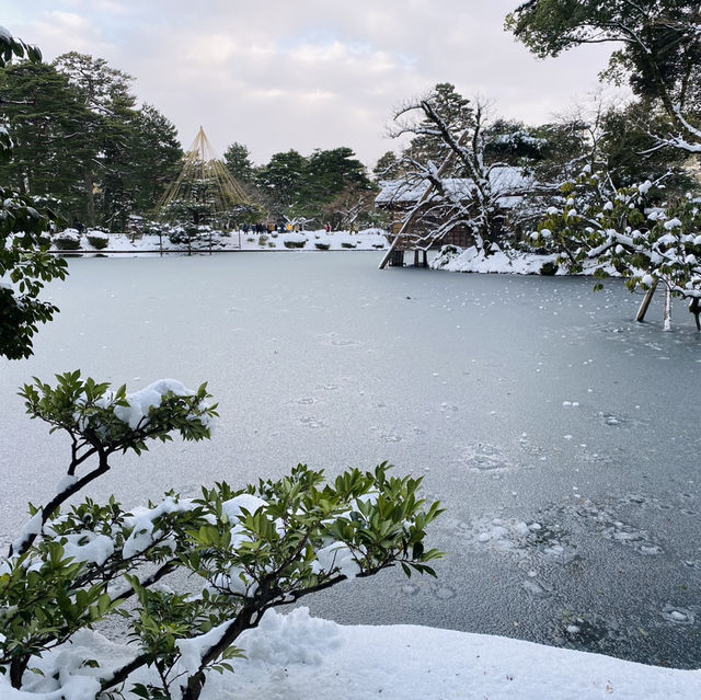 【金沢市🇯🇵兼六園】雪景色に包まれて☺️庭園散策