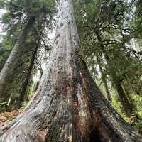 Hiking beauty that lasts in unforgettable moments 