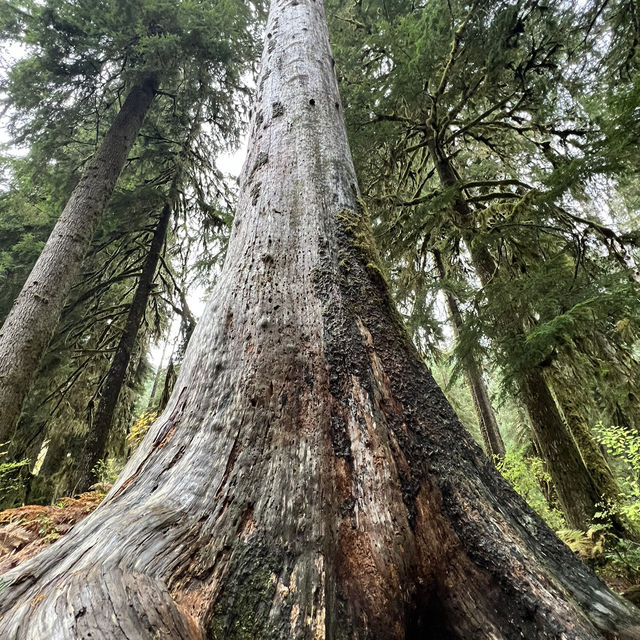 Hiking beauty that lasts in unforgettable moments 