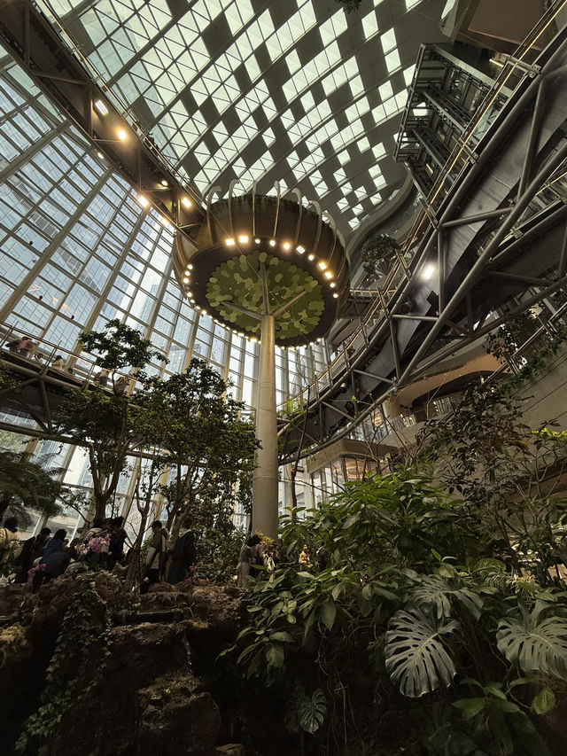 How to spend 5 days in Chongqing