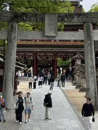 14-Day Kyushu island 