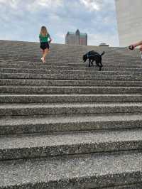 Soaring Above St. Louis: Unforgettable Views from the Gateway Arch!