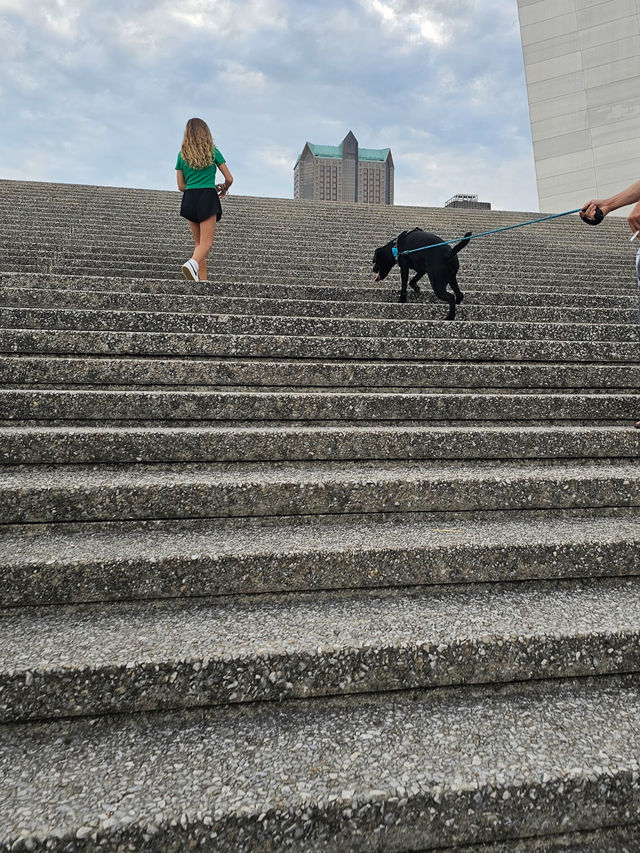 Soaring Above St. Louis: Unforgettable Views from the Gateway Arch!