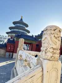 Temple Wonders🏯