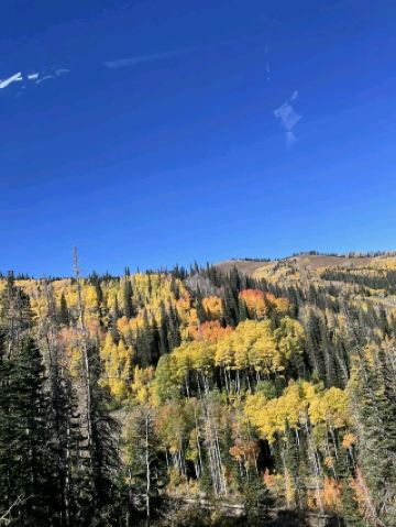 สัมผัสประสบการณ์การพักผ่อนบนภูเขาอันสมบูรณ์แบบที่ Stein Eriksen Residences สวรรค์สุดหรูใจกลาง Deer Valley Resort ที่พักอันน่าทึ่งแห่งนี้มีทางเข้า/ออกสกีสู่ลานสกีชื่อดังระดับโลก วิวภูเขาอันตระการตา และการตกแต่งภายในสุดเก๋
ที่พักในเครือ Stein Collection:
- ได้รับรางวัลโรงแรมสกีบูติกยอดเยี่ยมประจำปี 2024 จาก World Ski Awards
- โรงแรมและสปาระดับห้าดาวพร้อมบริการระดับตำนาน
- สิทธิพิเศษในการเข้าใช้สิ่งอำนวยความสะดวกของ Stein Eriksen Lodge
เชิญสัมผัสประสบการณ์ความหรูหราบนภูเขาที่ดีที่สุดที่ Stein Eriksen Residences พร้อมดื่มด่ำกับบริการอันเหนือระดับ วิวทิวทัศน์อันตระการตา และการผจญภัยบนภูเขาอันน่าจดจำ