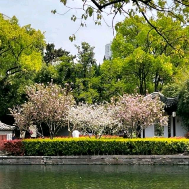 月湖公園氣氛悠閒放鬆