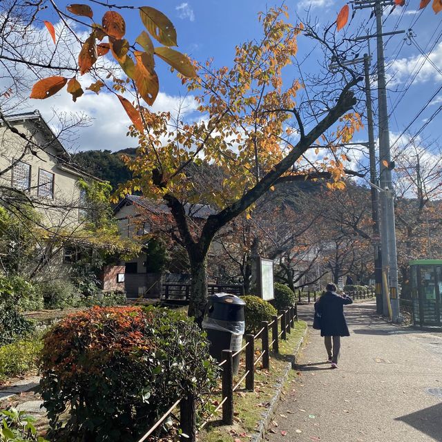信步閒遊哲學之道