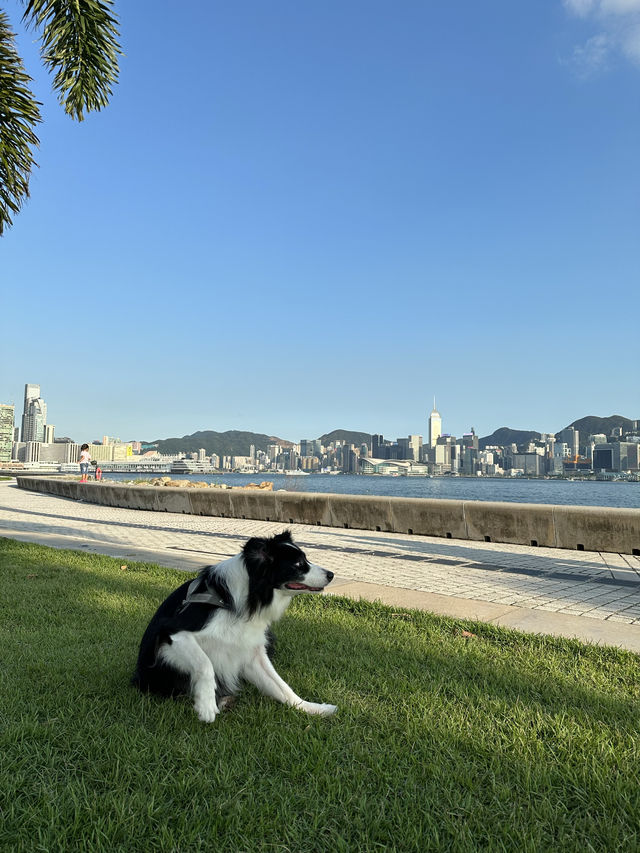 A GOOD DAY TO SPEND IN WEST KOWLOON 