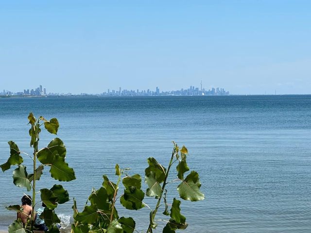 Rattray Marsh Conservation Area 🇨🇦