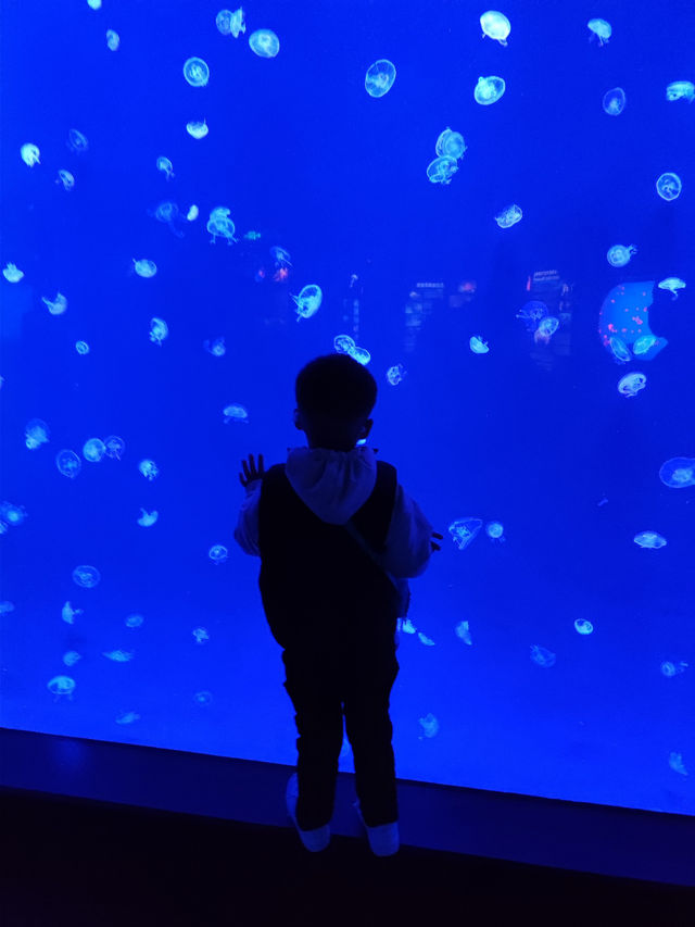 Shanghai Ocean Aquarium