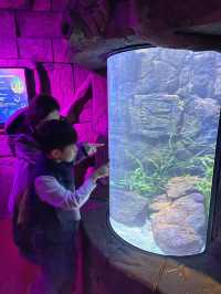 遊覽大笨鐘倫敦眼海洋館行程