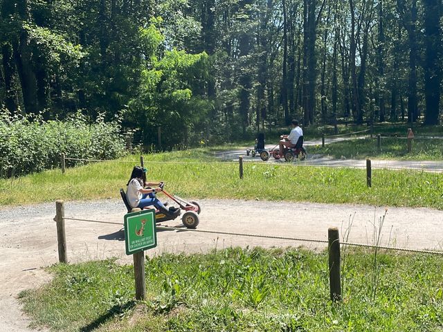 在動物園內飛馳 🏁