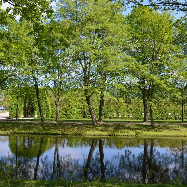 Schloss Garden… gorgeous Schwerin!