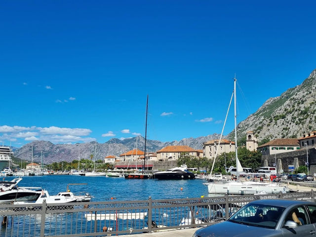 Port of Kotor 🗺️