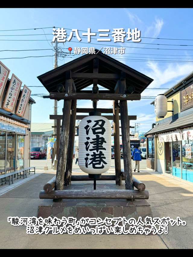 【静岡】沼津のおすすめ観光スポット7選🐟