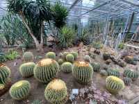 🌿🌵botanical Garden เล็กๆ ที่เมืองเดรเบเซนฮังการี