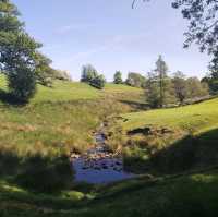 A journey through Middle Earth 