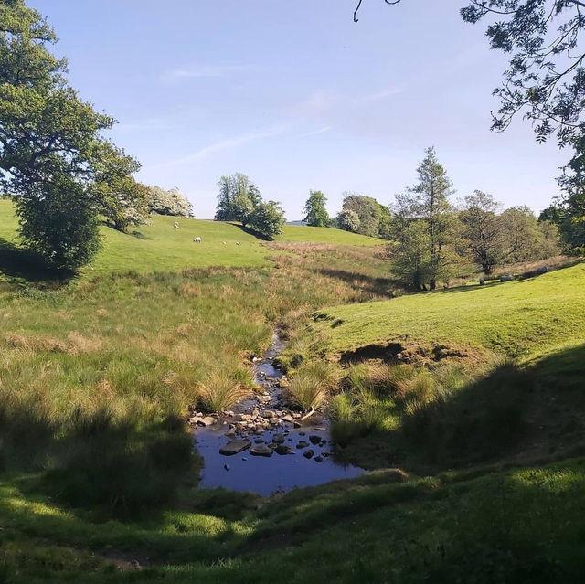 A journey through Middle Earth 