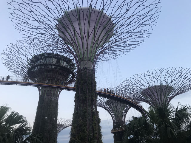 Singapore: A Dynamic Fusion of Culture, Innovation, and Green Spaces