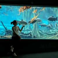 🐾 估唔到係巴塞隆拿都可以見到佢!?CosmoCaixa 科學博物館 🐟