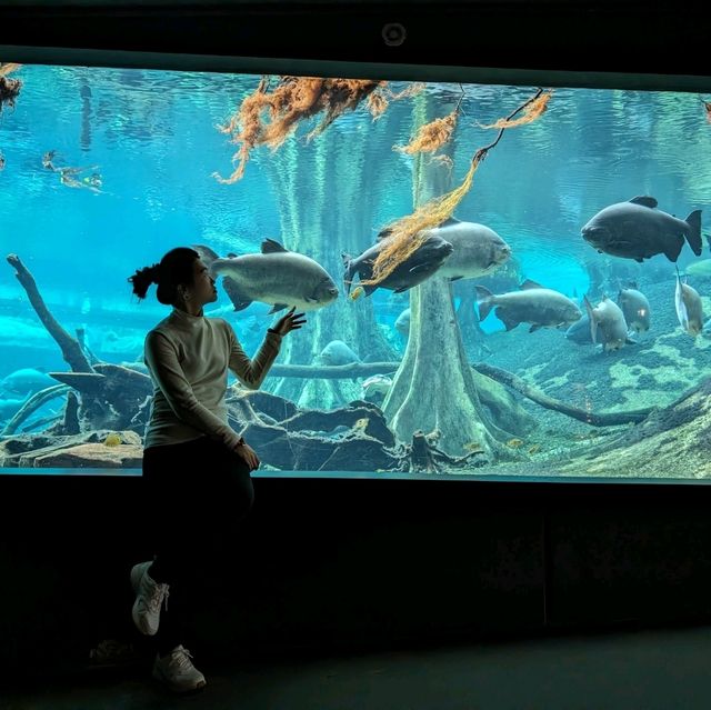 🐾 估唔到係巴塞隆拿都可以見到佢!?CosmoCaixa 科學博物館 🐟