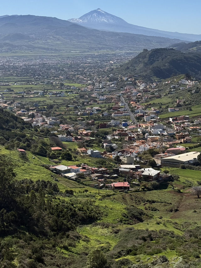 Tenerife: MY 5-WEEKS MAGIC WINTER ESCAPE TO PARADISE 