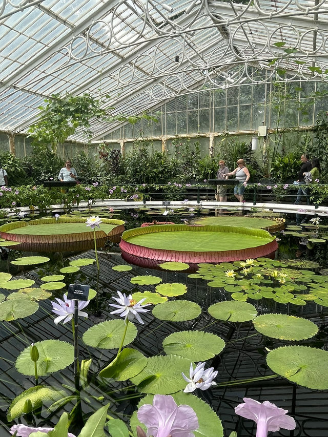 Picture perfect spots in Royal Botanic Gardens, Kew