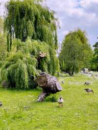 Escape the City: Best Parks & Green Spaces in London 🌿✨