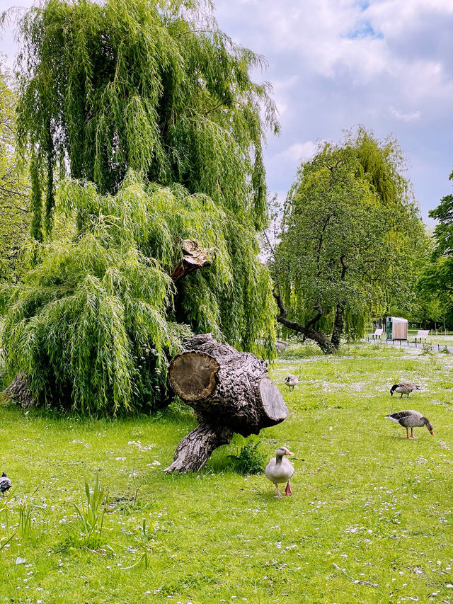 Escape the City: Best Parks & Green Spaces in London 🌿✨