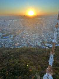 🌆🌿 Seoul from Above: N Seoul Tower & Namsan Park