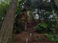 Evergreen Scotland 