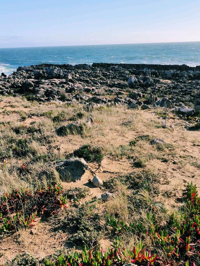 🌊 Watching the Ocean in Cascais, Portugal 🌅