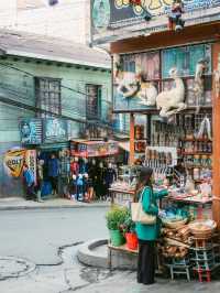 ラパスの不思議な市場🇧🇴魔女市場🧙‍♀️🦙
