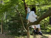 [Japan 2025 ] Yoyogi Koen April 2025