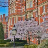 How to spend 8 days in London