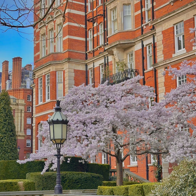 How to spend 8 days in London