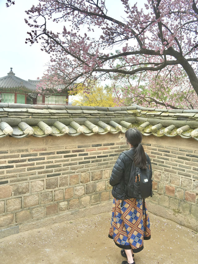 【昌徳宮】韓国ドラマの舞台！ソウルの世界遺産へ