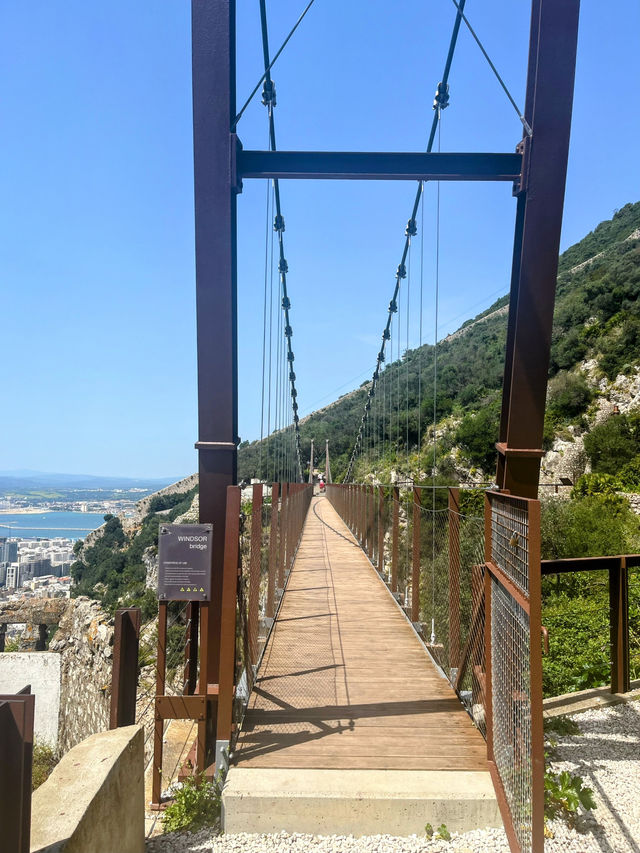 Monkeying around on Gibraltar🇬🇮 