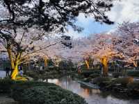 Kanazawa Escape: Blossoms, Kimonos, and Timeless Charm