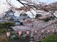 Kanazawa Escape: Blossoms, Kimonos, and Timeless Charm