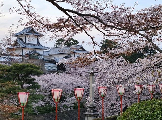 Kanazawa Escape: Blossoms, Kimonos, and Timeless Charm