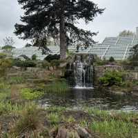 🌿 Kew Gardens, London: Nature’s Crown Jewel in the City