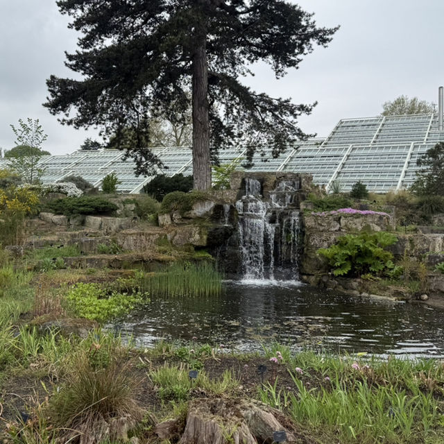 🌿 Kew Gardens, London: Nature’s Crown Jewel in the City